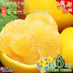 <木成り ジューシーゴールド 河内晩柑