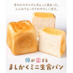 侍が恋する ましかくミニ生食パン 計6個