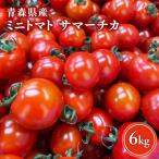 ミニトマト 6kg