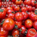 ミニトマト 9kg