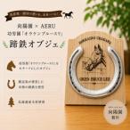 向陽園×AERU 功労馬 オウケンブルースリ