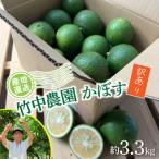 農家直送 竹中農園 かぼす 約3.3kg_2473R-2