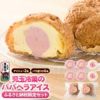 児玉冷菓のババヘラアイス バラ盛りカップ&amp;アイシュー