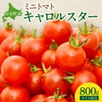 ミニトマト キャロルスター800g_Y149-0005