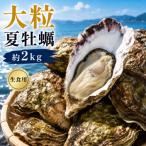 多度津白方 りょうせん 大粒夏牡蠣約2kg