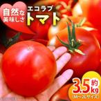 エコラブトマト M-2L 約3.5kg