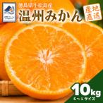 みかん 10kg