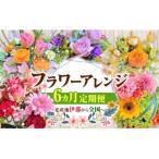 フラワーアレンジ にも 花の名産地伊那から全国へ