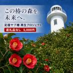 足摺ヤブ椿再生プロジェクト 応援 返礼品なし