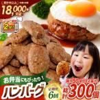 6回 定期便 レンジで簡単 ハンバーグ 60g