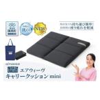 エアウィーヴ キャリークッションmini