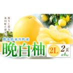 柑橘 晩白柚 2L
