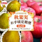 ラフランス サンふじりんご 各約2kg hi074-024-r8