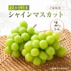 ぶどう 訳あり おかやま シャインマスカット