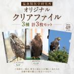 猛禽類医学研究所オリジナルクリアファイル