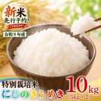 新米 特別栽培米 にじのきらめき 白米 10kg