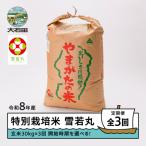 新米 米 雪若丸 30kg