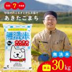 あきたこまち 無洗米 30kg