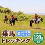 乗馬トレッキング 小川原湖トレイル 1名様