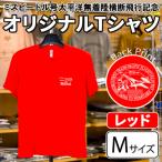 ミスビードル号太平洋無着陸横断飛行記念