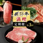 飛騨牛 満喫定期便 全3回 計1.26kg