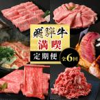 飛騨牛 満喫定期便 全6回 計3.46kg