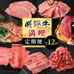 飛騨牛 満喫定期便 全12回 計8.68kg