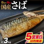 訳あり さば 骨取り 約3kg