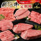 5等級 シャトーブリアン入り 飛騨牛 定期便