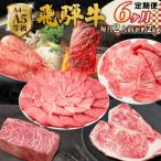 全6回 飛騨牛 2人前