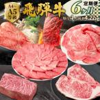 全6回 飛騨牛 4人前
