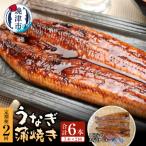a50-152 うなぎ蒲焼き 3本×2回
