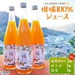 <柑橘100%ジュース>