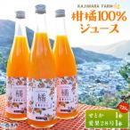 <柑橘100%ジュース>