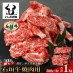 石垣牛 焼肉用 不揃い 1kg
