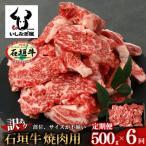 石垣牛 焼肉用 不揃い 500g