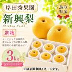 岸田秀果園 新興梨 自家用 3kg
