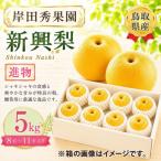 岸田秀果園 新興梨 自家用 5kg