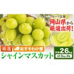 シャインマスカット 約1.3kg×2ヶ月