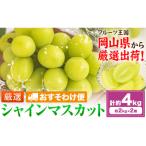シャインマスカット 計約4kg 約2kg