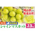 シャインマスカット 約1.3kg