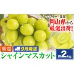 シャインマスカット 約2kg