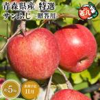 特選 甚八りんごサンふじ5kg