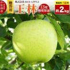 りんご 王林 約2kg