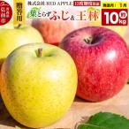りんご 葉とらずふじ&王林 約10kg