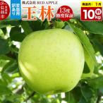 りんご 王林 約10kg