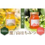 養蜂研究所が提供する 井上養蜂 山のはちみつ 里のはちみつ定番セット