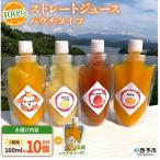 <100%ストレートジュース パウチタイプ160ml×10個+パウ…