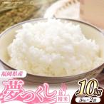 令和8年産 久保山百年米 特別栽培米 無洗米 10kg