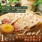 カマンベールチーズタルトセット 10個入り